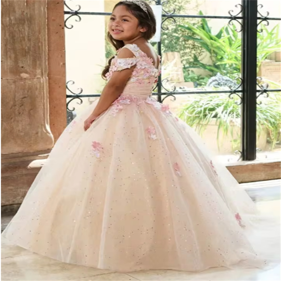 Customized Luxury Flower Girl  - Birthday Sash Glitter review and price